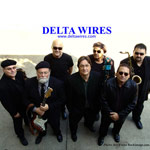 The Delta Wires Big Band Harmonica and Horns Blues